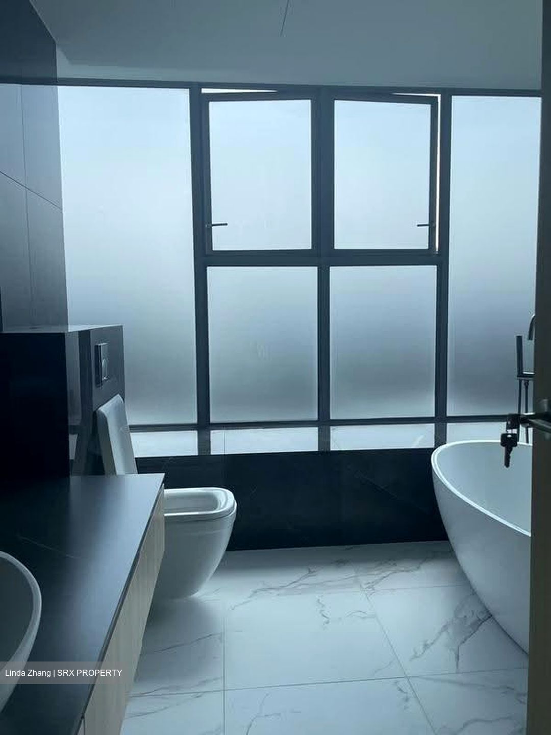Waterfall Gardens (D10), Condominium #625566461